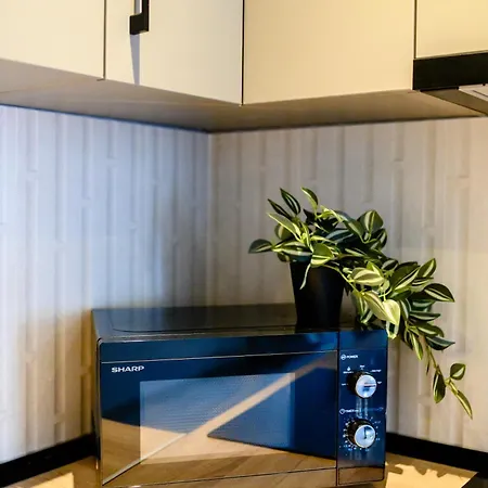 Yamaluxe Cozy 916 Apartment Bucharest